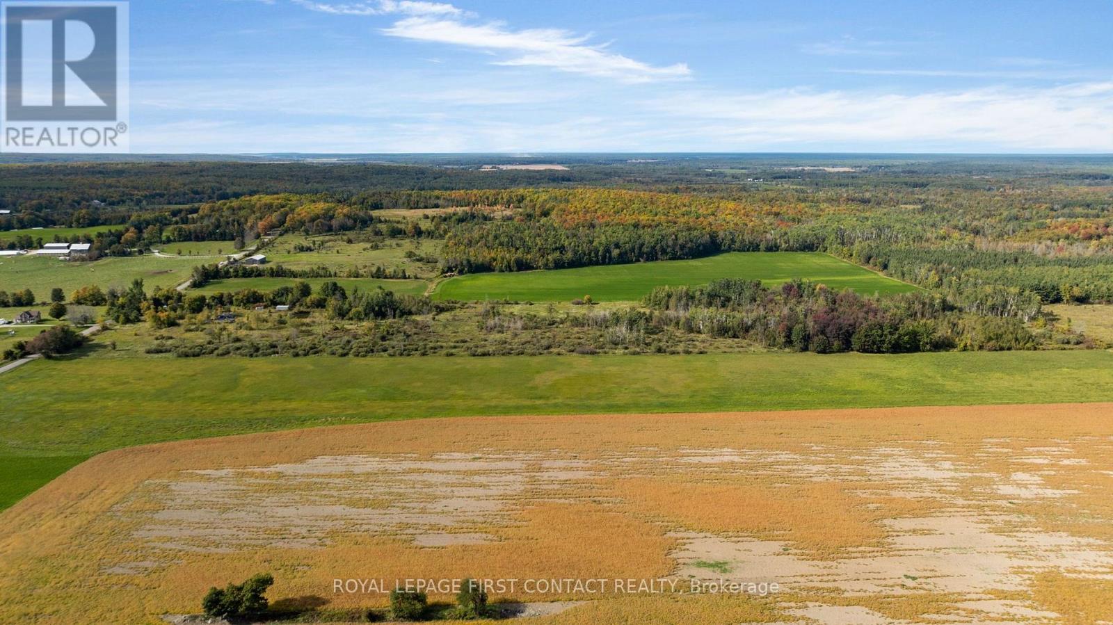 2463 Dunns Line, Oro-Medonte, Ontario L0K 1E0 - Photo 7 - S13835938