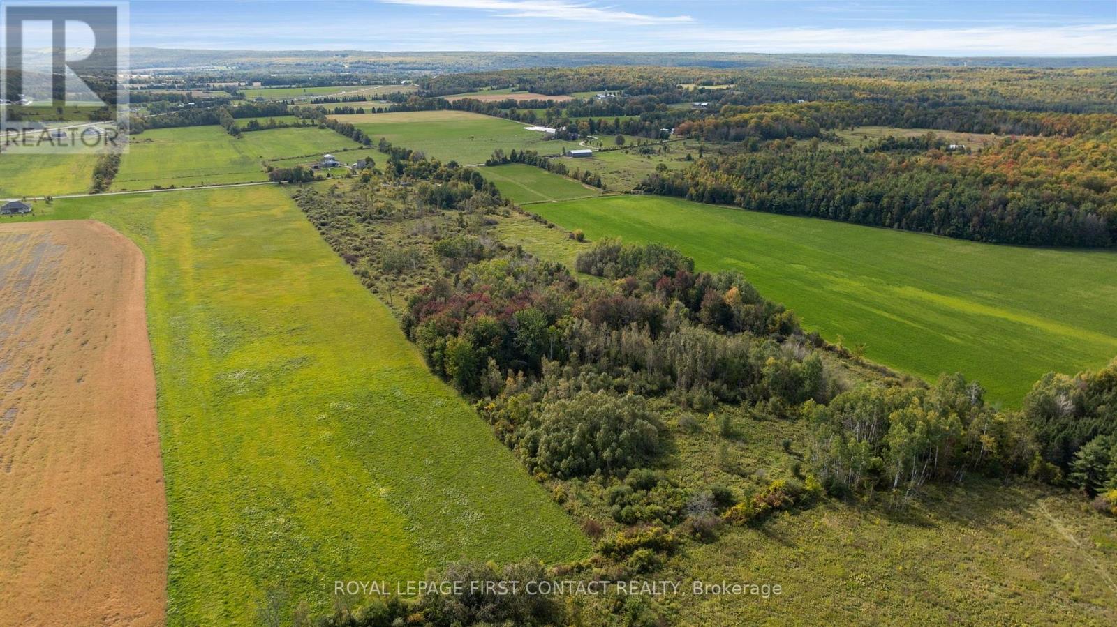 2463 Dunns Line, Oro-Medonte, Ontario L0K 1E0 - Photo 9 - S13835938