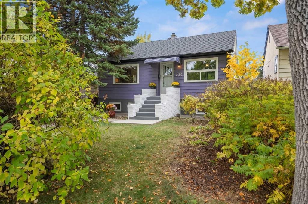 239 24 Avenue NE, Calgary, Alberta