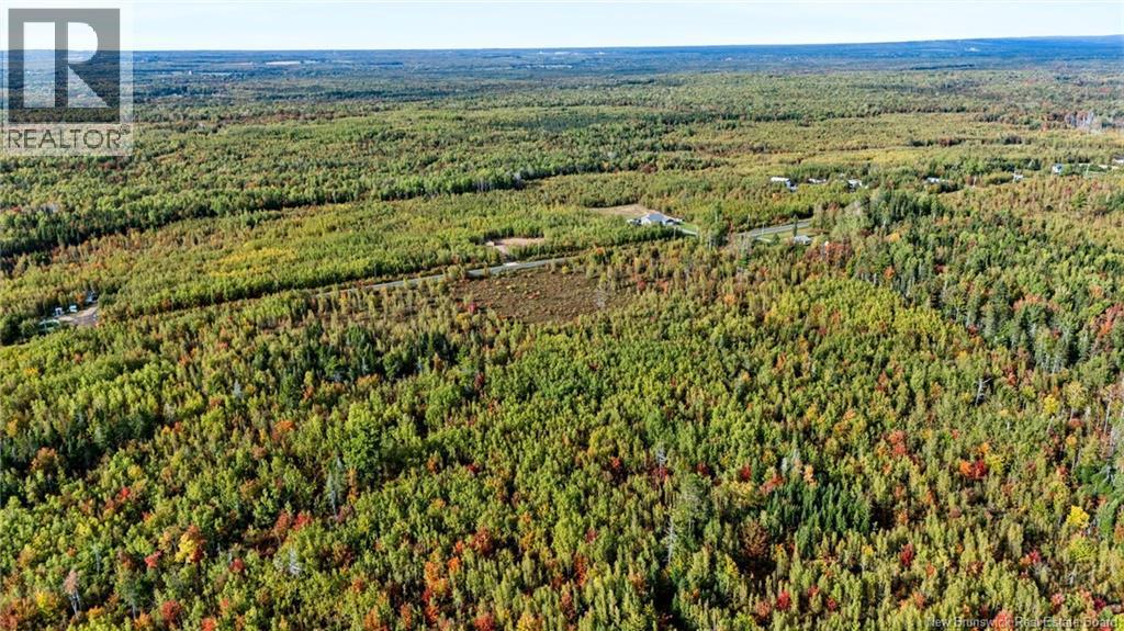 Lot Middlesex Road, Colpitts Settlement, New Brunswick  E4J 1G7 - Photo 10 - NB148655