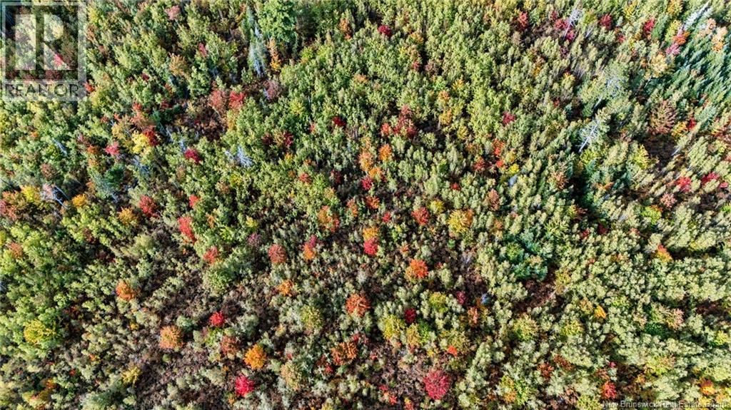 Lot Middlesex Road, Colpitts Settlement, New Brunswick  E4J 1G7 - Photo 11 - NB148655
