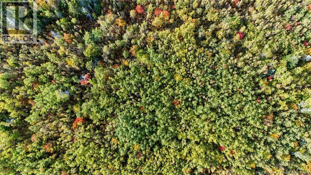 Lot Middlesex Road, Colpitts Settlement, New Brunswick  E4J 1G7 - Photo 14 - NB148655