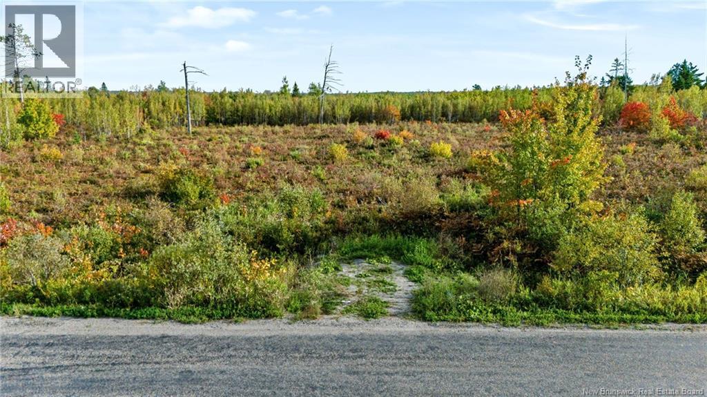 Lot Middlesex Road, Colpitts Settlement, New Brunswick  E4J 1G7 - Photo 15 - NB148655