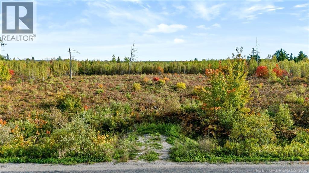 Lot Middlesex Road, Colpitts Settlement, New Brunswick  E4J 1G7 - Photo 16 - NB148655