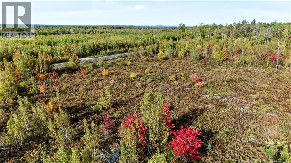 Lot Middlesex Road, Colpitts Settlement, New Brunswick  E4J 1G7 - Photo 17 - NB148655