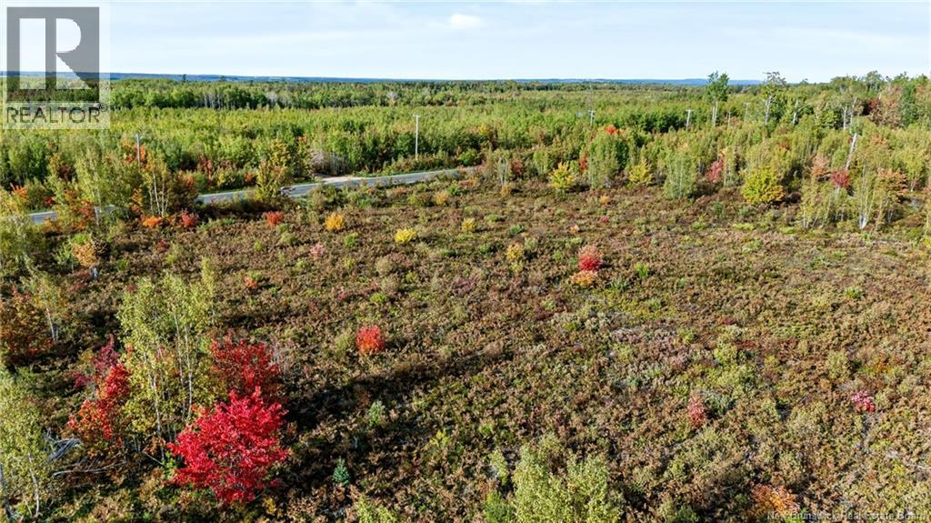 Lot Middlesex Road, Colpitts Settlement, New Brunswick  E4J 1G7 - Photo 18 - NB148655
