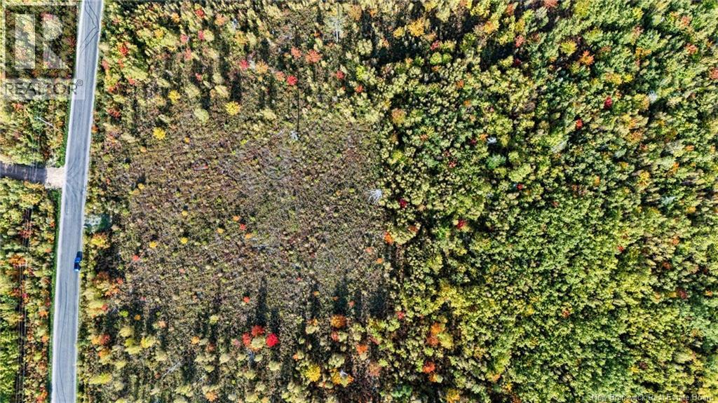 Lot Middlesex Road, Colpitts Settlement, New Brunswick  E4J 1G7 - Photo 19 - NB148655