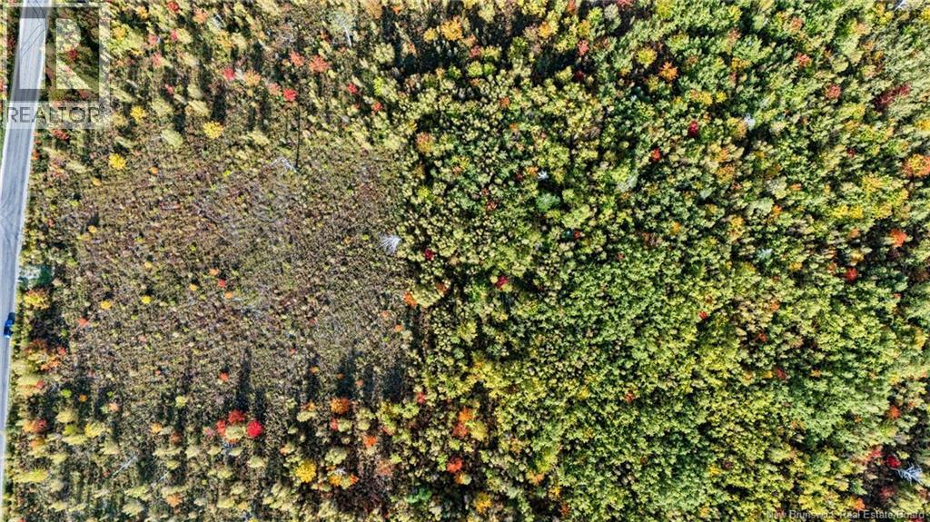 Lot Middlesex Road, Colpitts Settlement, New Brunswick  E4J 1G7 - Photo 20 - NB148655