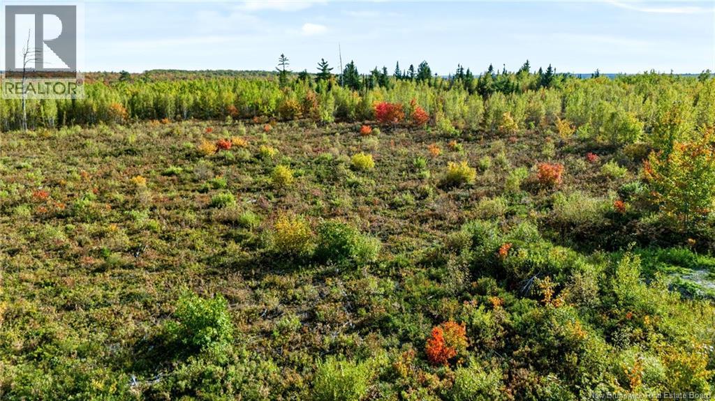 Lot Middlesex Road, Colpitts Settlement, New Brunswick  E4J 1G7 - Photo 22 - NB148655