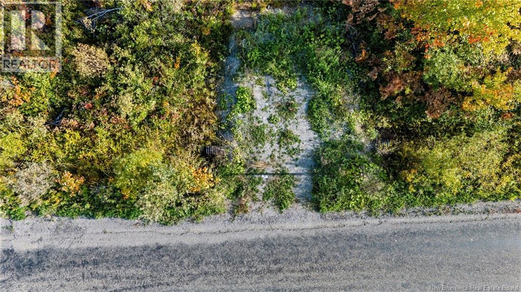 Lot Middlesex Road, Colpitts Settlement, New Brunswick  E4J 1G7 - Photo 23 - NB148655