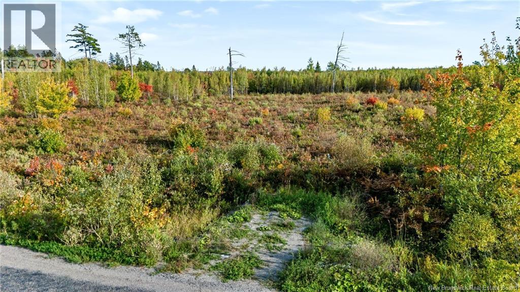 Lot Middlesex Road, Colpitts Settlement, New Brunswick  E4J 1G7 - Photo 25 - NB148655