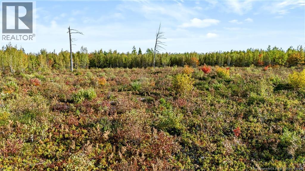 Lot Middlesex Road, Colpitts Settlement, New Brunswick  E4J 1G7 - Photo 26 - NB148655