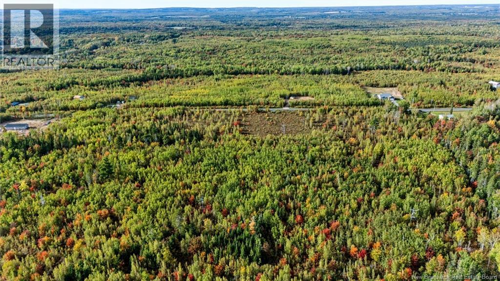 Lot Middlesex Road, Colpitts Settlement, New Brunswick  E4J 1G7 - Photo 9 - NB148655