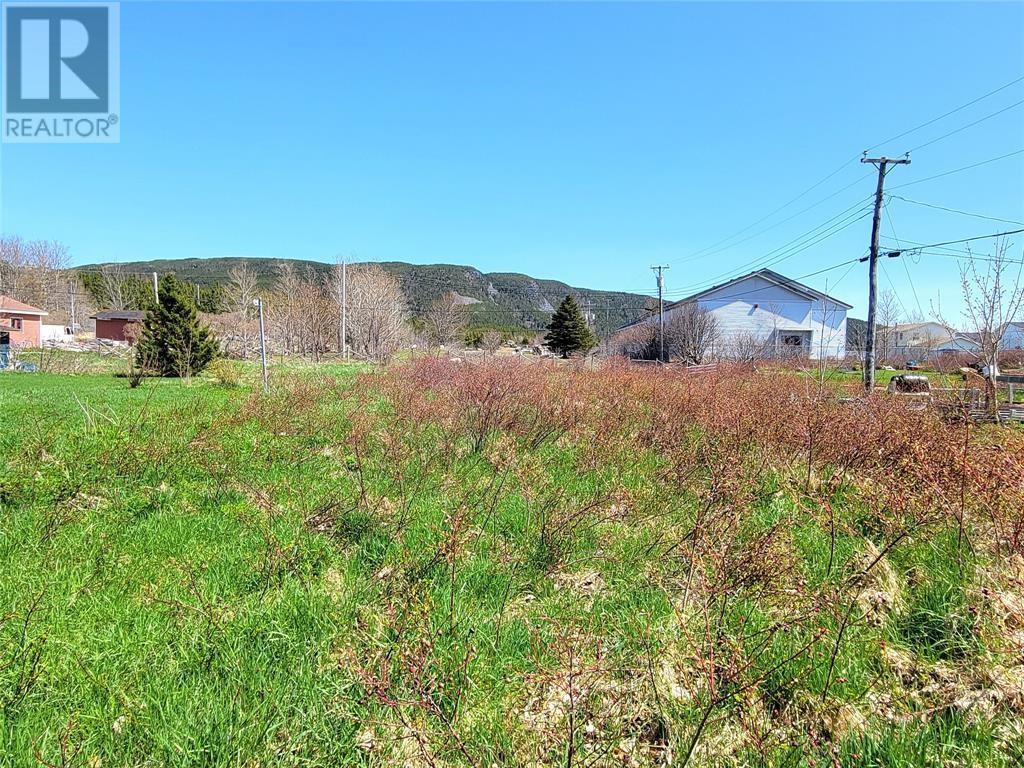 10 Tank Road photo 4