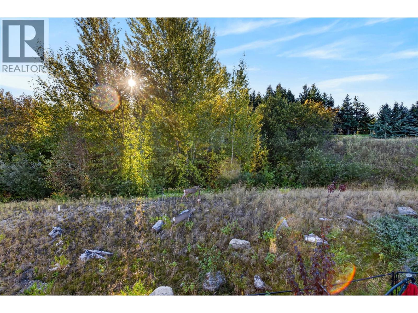 996 Bull Crescent, Kelowna, British Columbia  V1W 0B6 - Photo 22 - 10401961