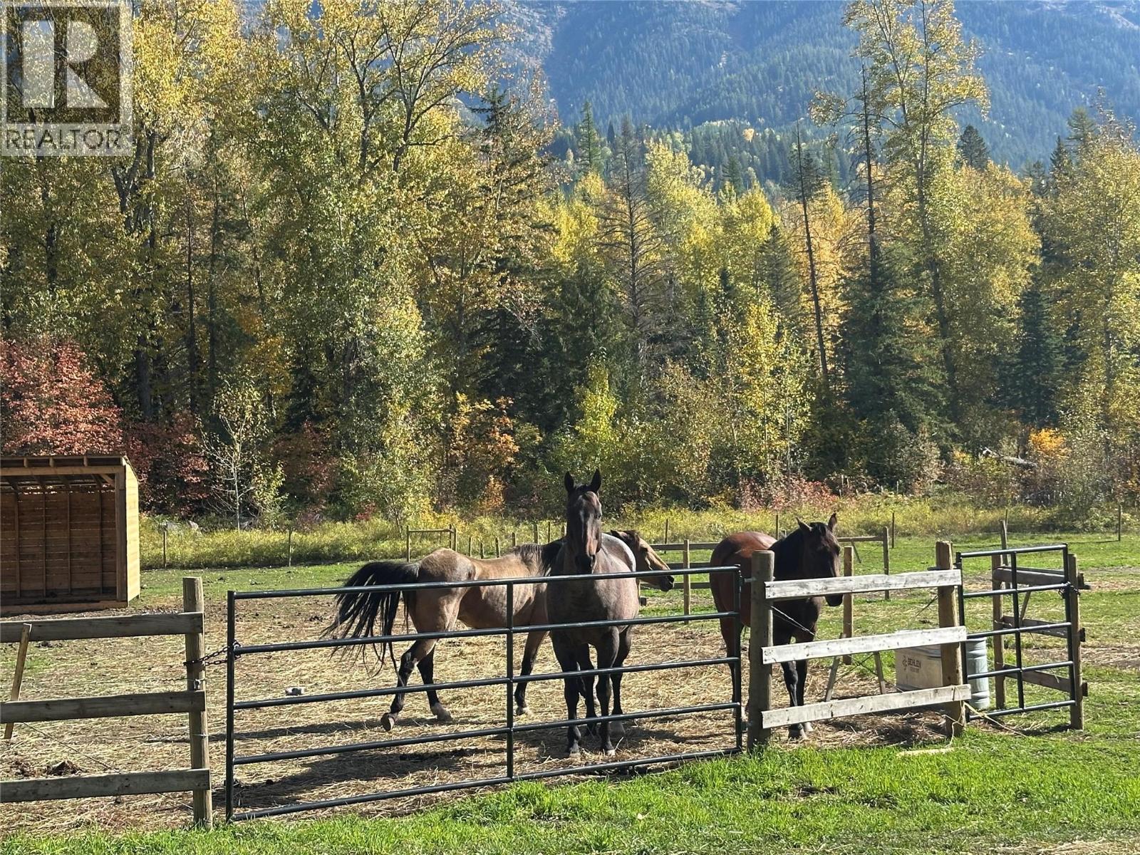 4714 Hwy 3 Highway, Fernie, British Columbia  V0B 1M1 - Photo 10 - 10401919