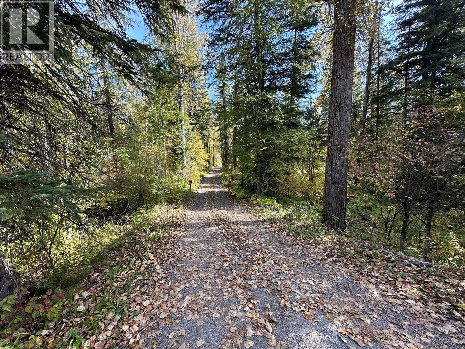 4714 Hwy 3 Highway, Fernie, British Columbia  V0B 1M1 - Photo 15 - 10401919
