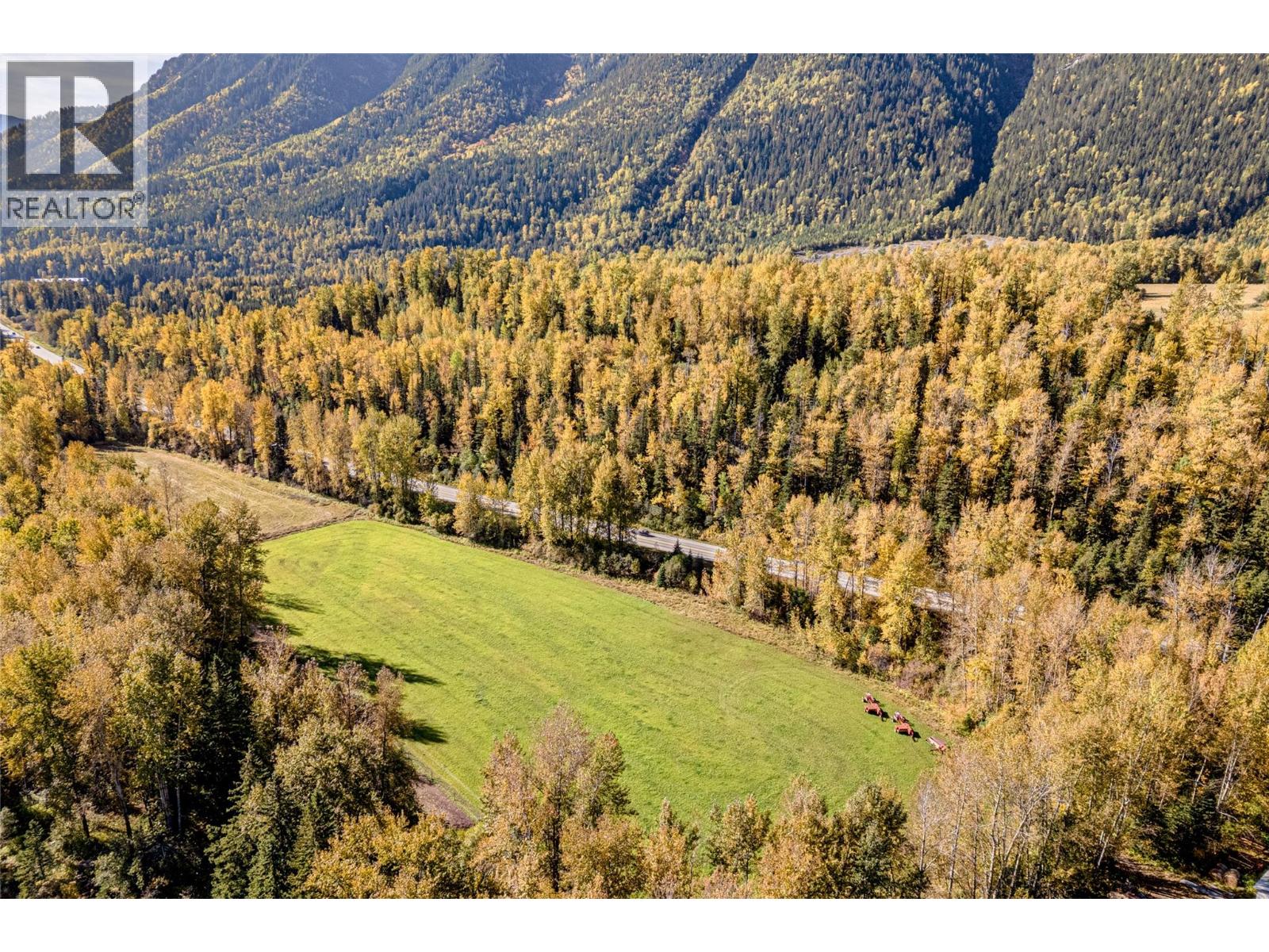 4714 Hwy 3 Highway, Fernie, British Columbia  V0B 1M1 - Photo 49 - 10401919