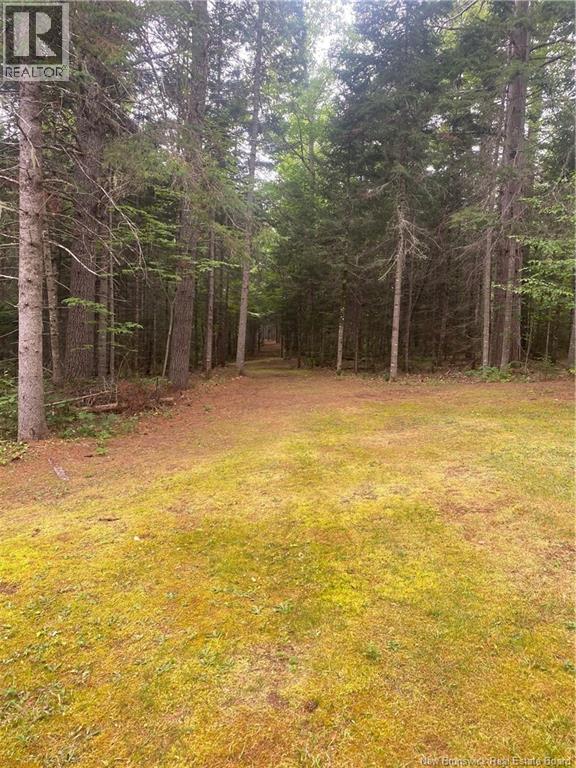 2086 Route 102, Gagetown, New Brunswick  E5M 1L2 - Photo 46 - NB148672