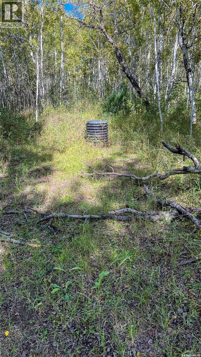 Edam Quarter, Turtle River Rm No. 469, Saskatchewan  S0M 0V0 - Photo 30 - SK049761