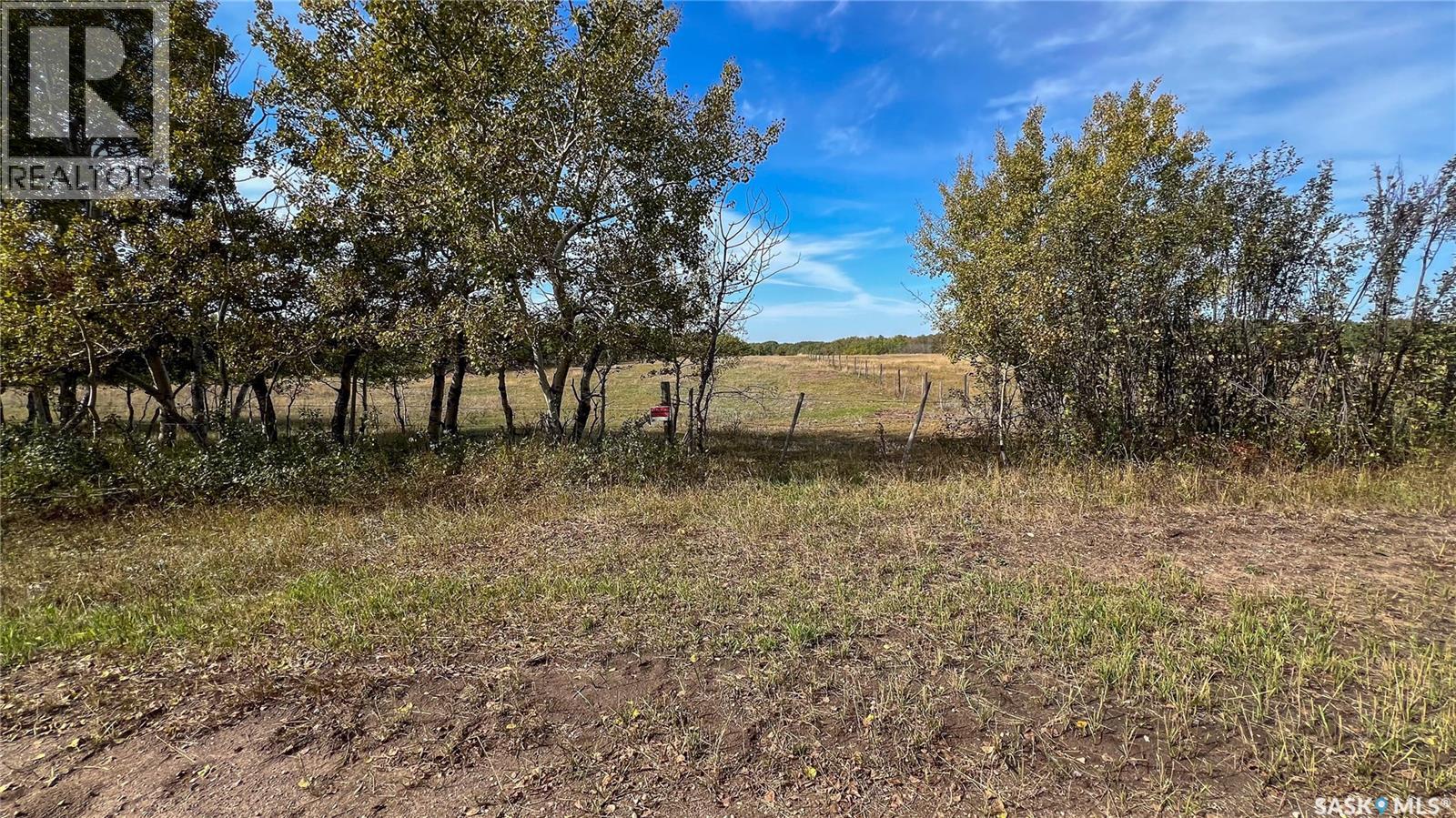 Edam Quarter, Turtle River Rm No. 469, Saskatchewan  S0M 0V0 - Photo 35 - SK049761