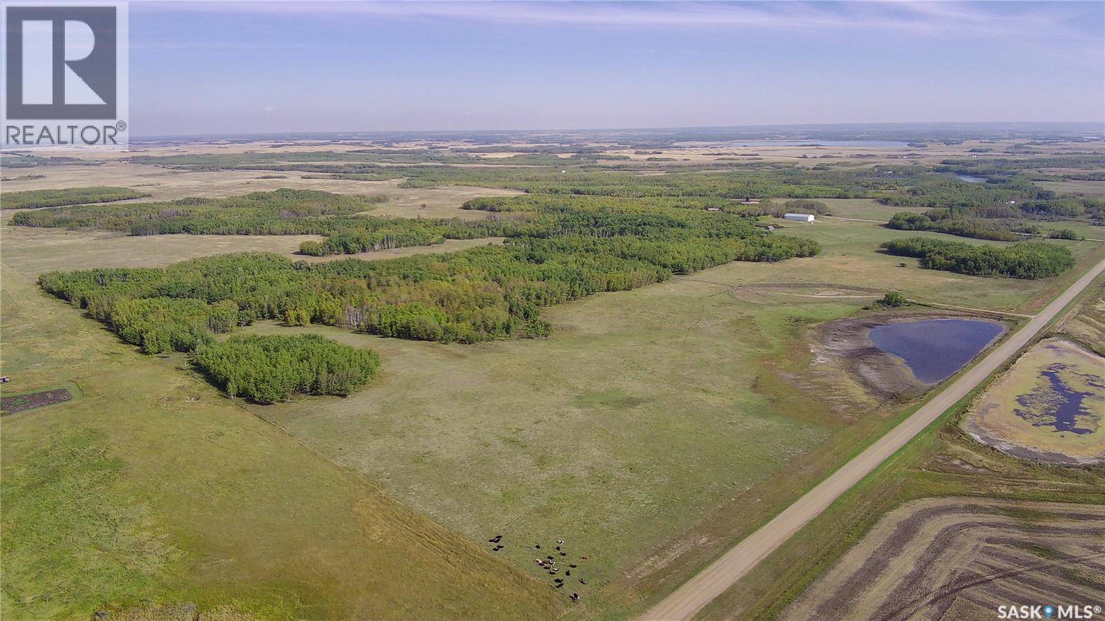 Edam Quarter, Turtle River Rm No. 469, Saskatchewan  S0M 0V0 - Photo 4 - SK049761