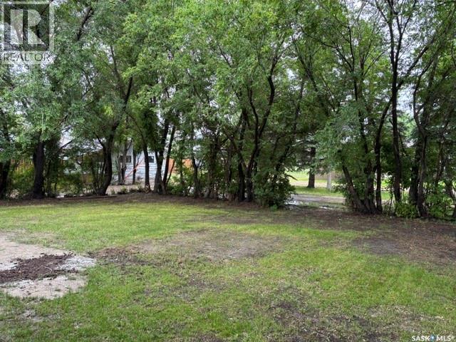 12 Roberts Street, Redvers, Saskatchewan  S0C 2H0 - Photo 4 - SK041492