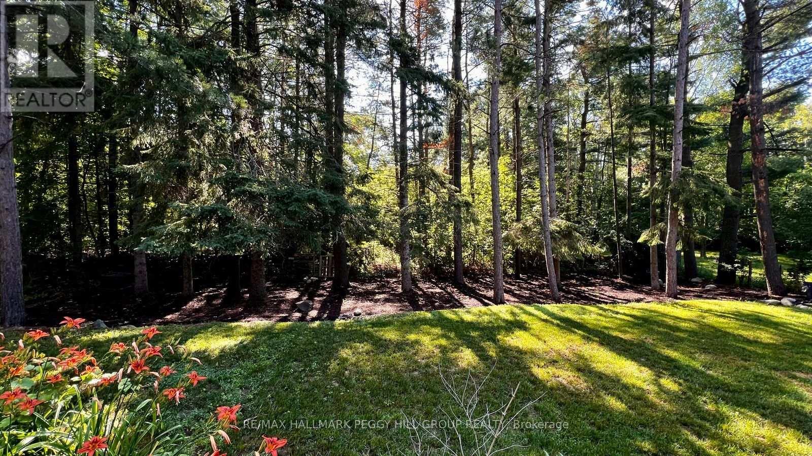 11 Colborne Street, Oro-Medonte, Ontario  L4M 4S1 - Photo 21 - S13819192