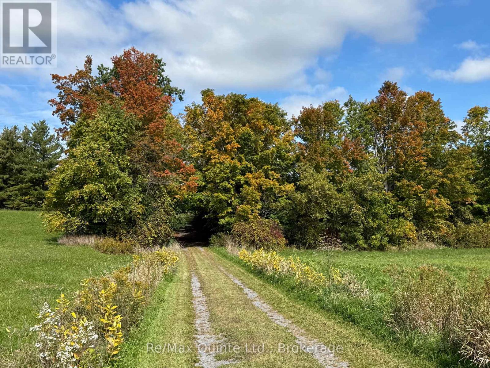 1079 Clearview Road, Centre Hastings, Ontario  K0K 3E0 - Photo 6 - X13836650
