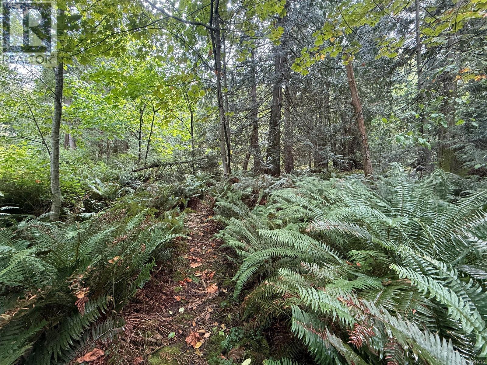 Lot 2 Willcox Rd, Saltair, British Columbia  V9G 1Z6 - Photo 6 - 1051010