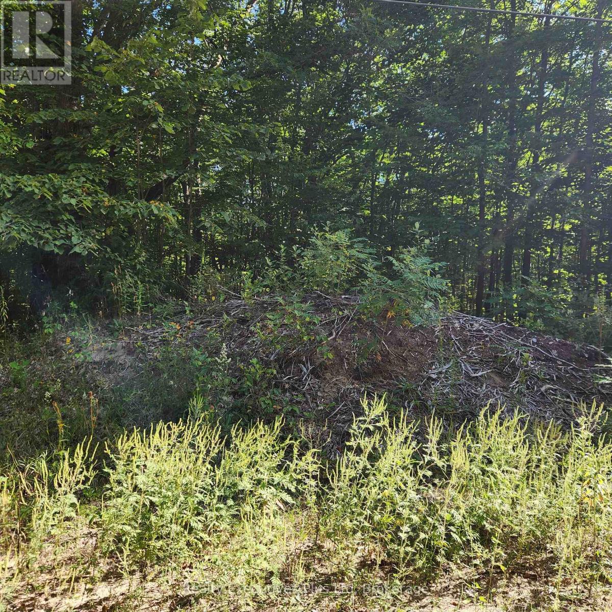 Lt 165 Zhingos Lane, Christian Island 30, Ontario  L9M 0A9 - Photo 2 - S13836578