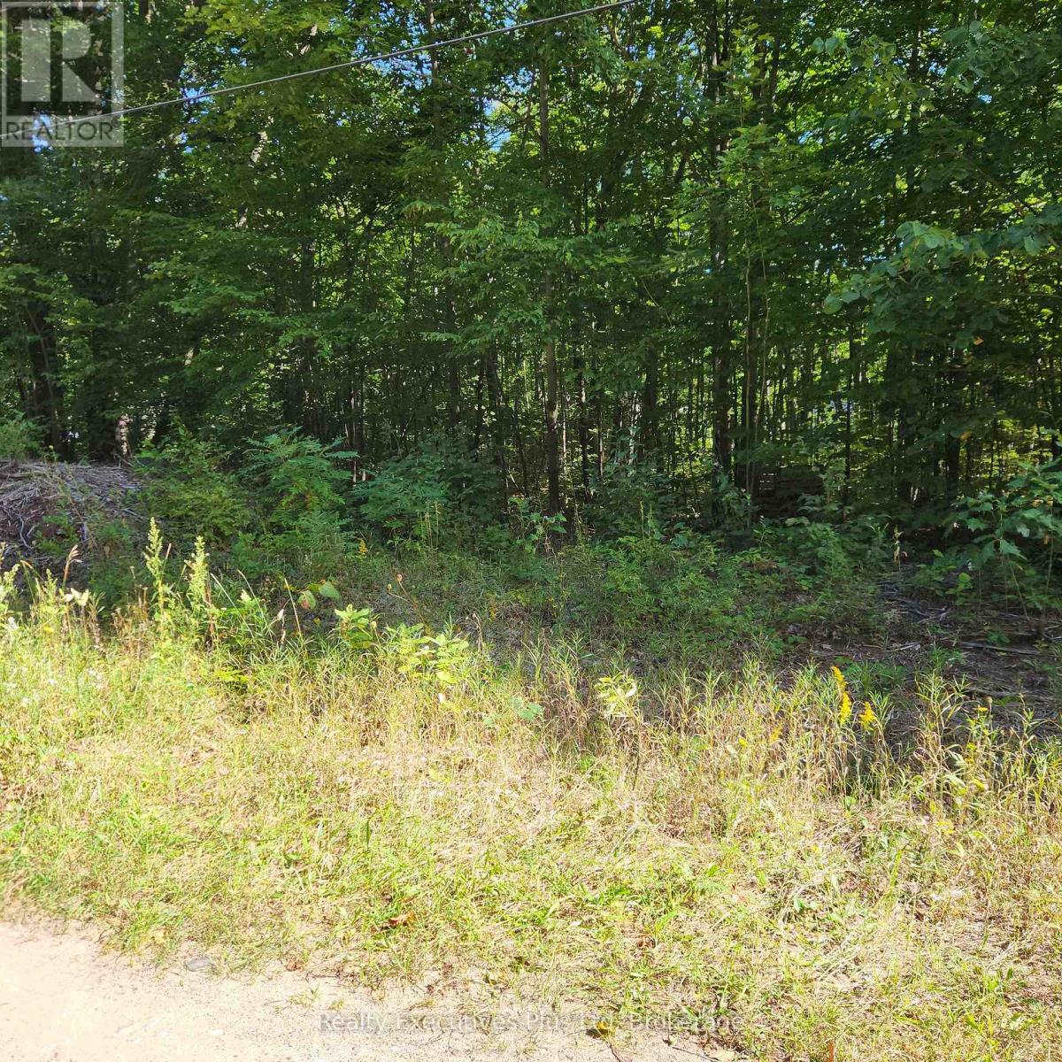 Lt 165 Zhingos Lane, Christian Island 30, Ontario  L9M 0A9 - Photo 3 - S13836578