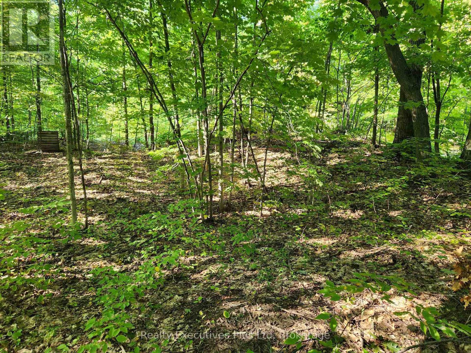 Lt 165 Zhingos Lane, Christian Island 30, Ontario  L9M 0A9 - Photo 5 - S13836578