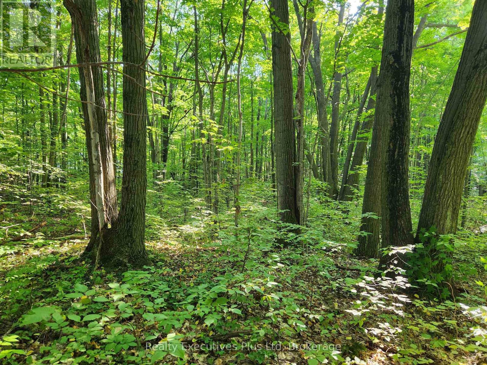 Lt 165 Zhingos Lane, Christian Island 30, Ontario  L9M 0A9 - Photo 6 - S13836578