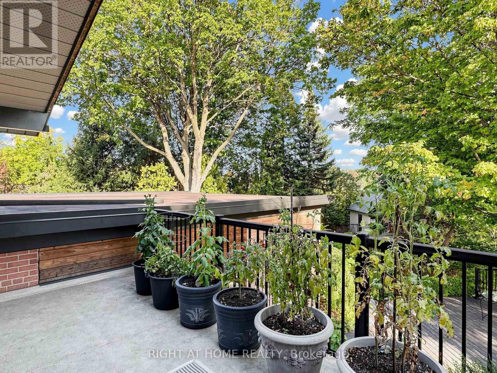 4 Grovetree Road, Toronto, Ontario  M9V 2Y2 - Photo 5 - W13836574