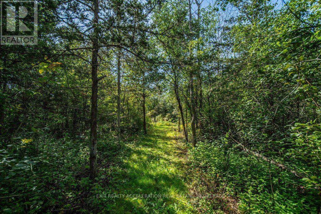 504 Coronation Boulevard, Loyalist, Ontario  K7M 5P9 - Photo 46 - X13835690
