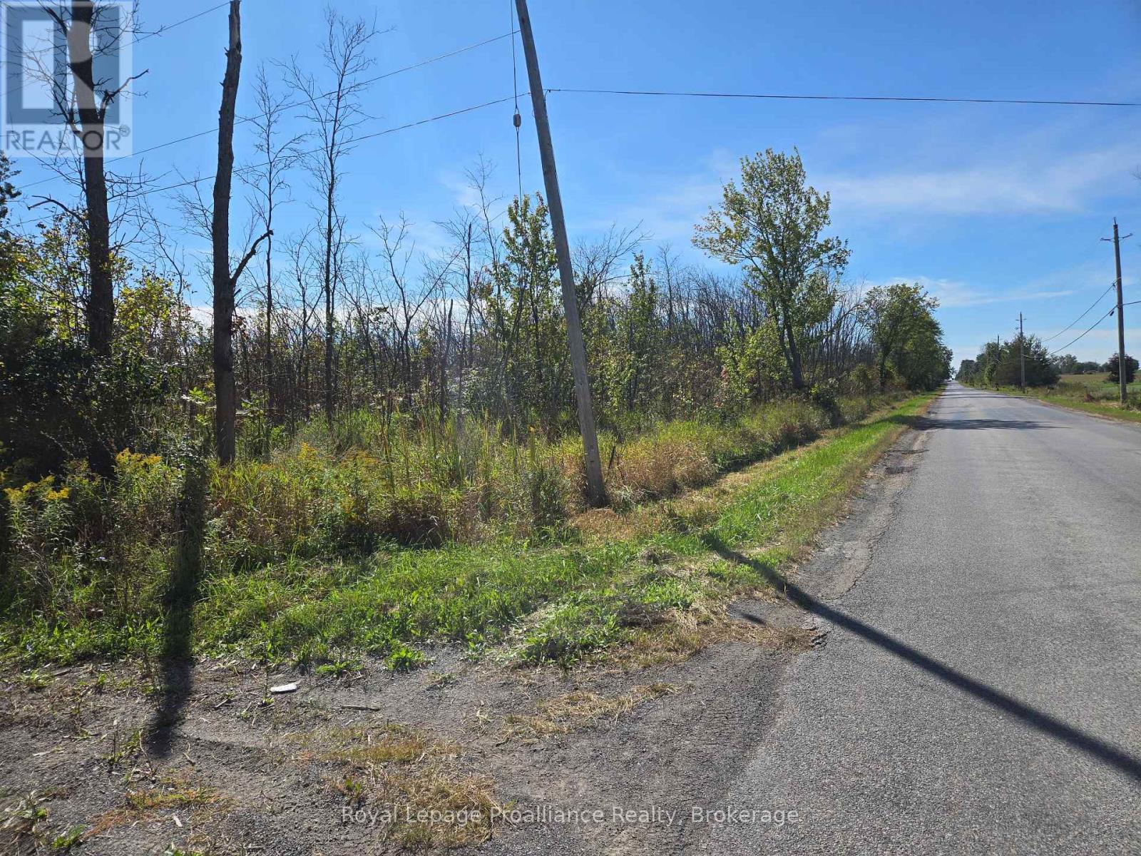 544 Lazier Road, Tyendinaga, Ontario  K8N 4Z6 - Photo 5 - X13836810