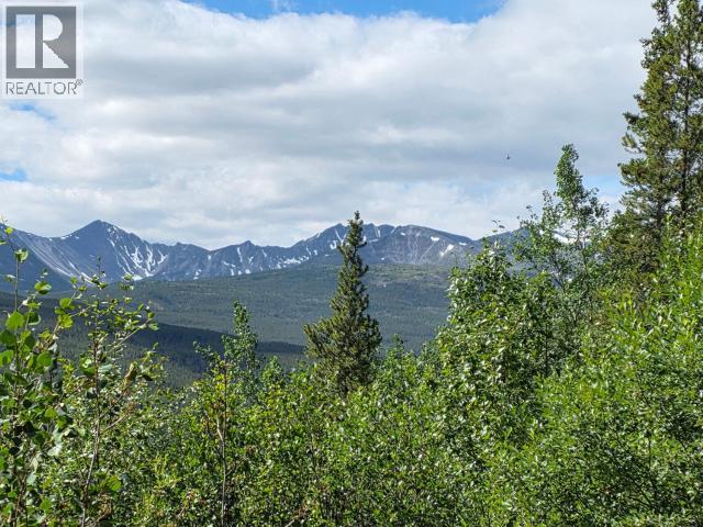 68645 Alaska Highway, Teslin, Yukon  Y0A 1A0 - Photo 2 - 17714