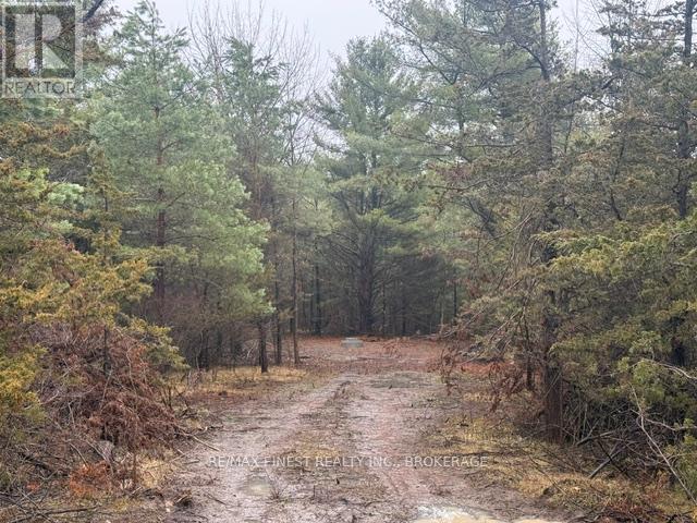 590 Love Road, Loyalist, Ontario  K0H 2H0 - Photo 2 - X13836992