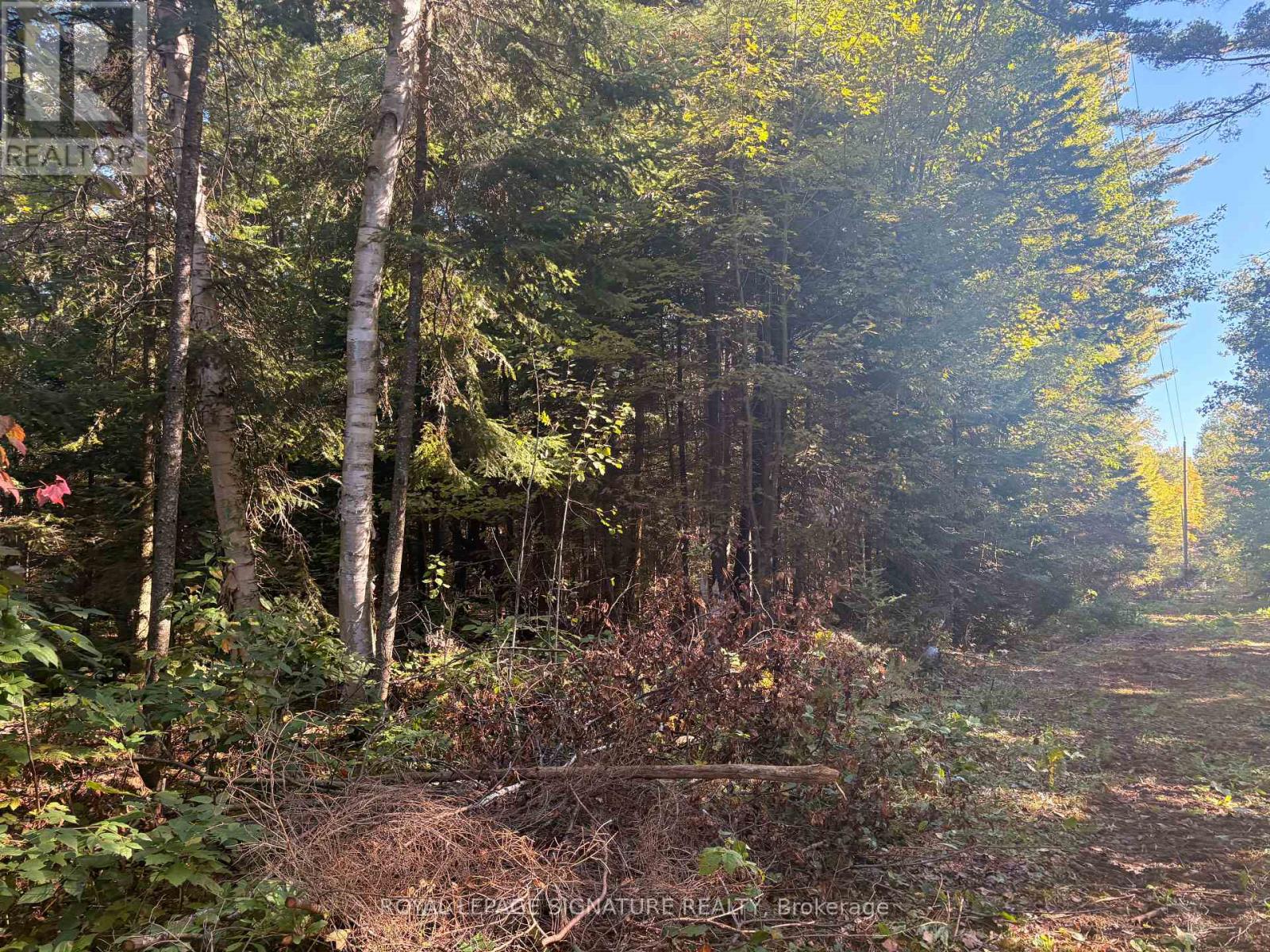 63 BUNNY TRAIL, McDougall, Ontario