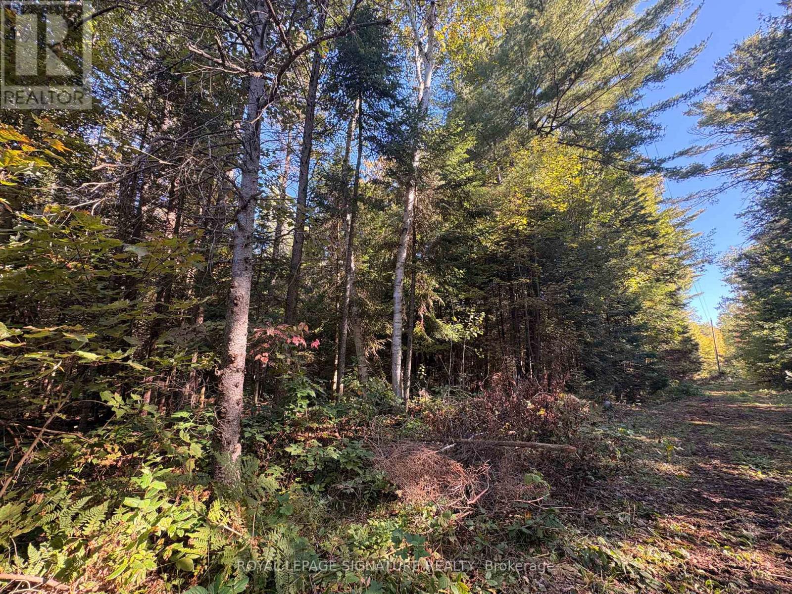 63 Bunny Trail, Mcdougall, Ontario  P2A 2W7 - Photo 11 - X13837004