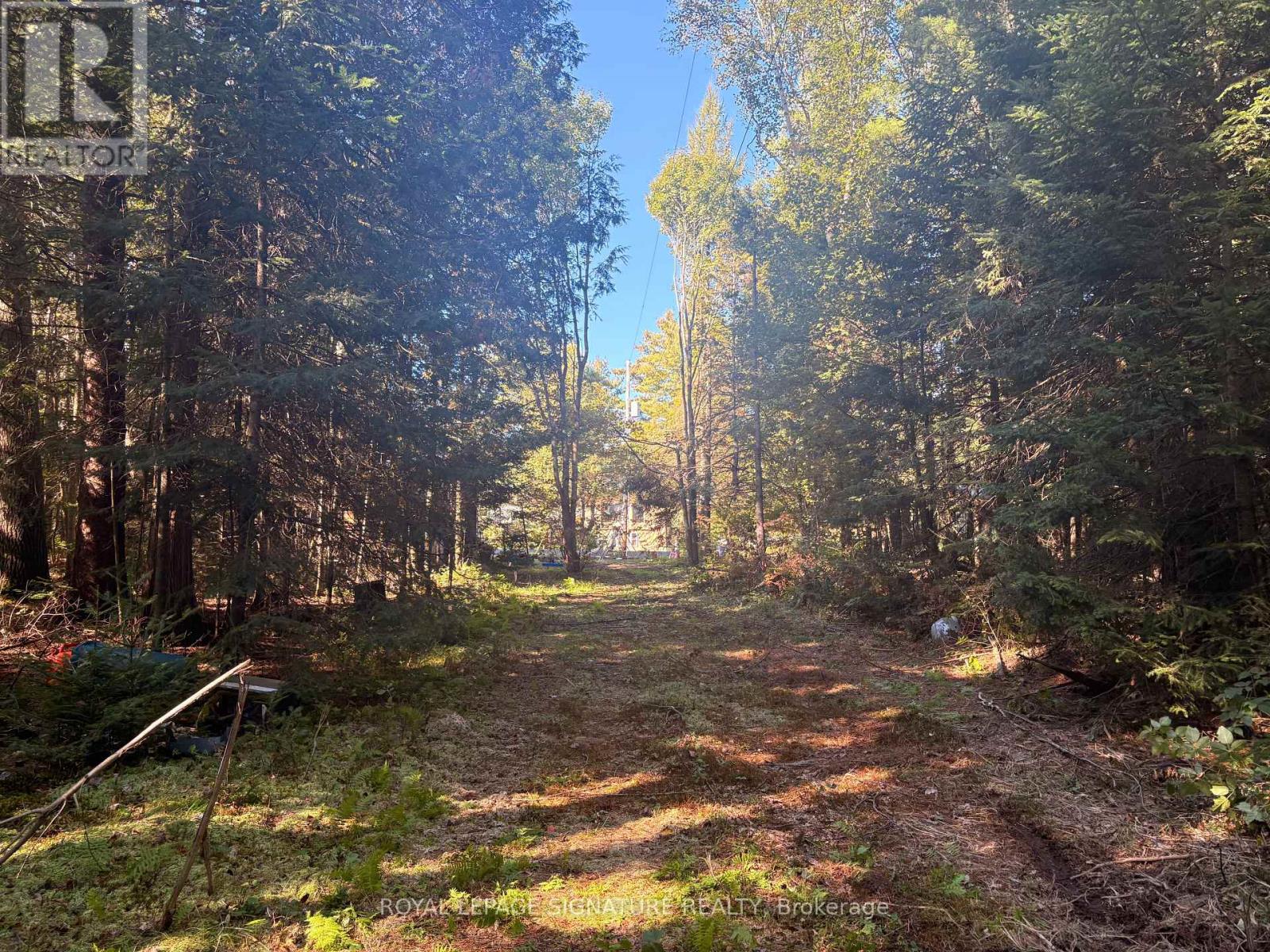 63 Bunny Trail, Mcdougall, Ontario  P2A 2W7 - Photo 12 - X13837004