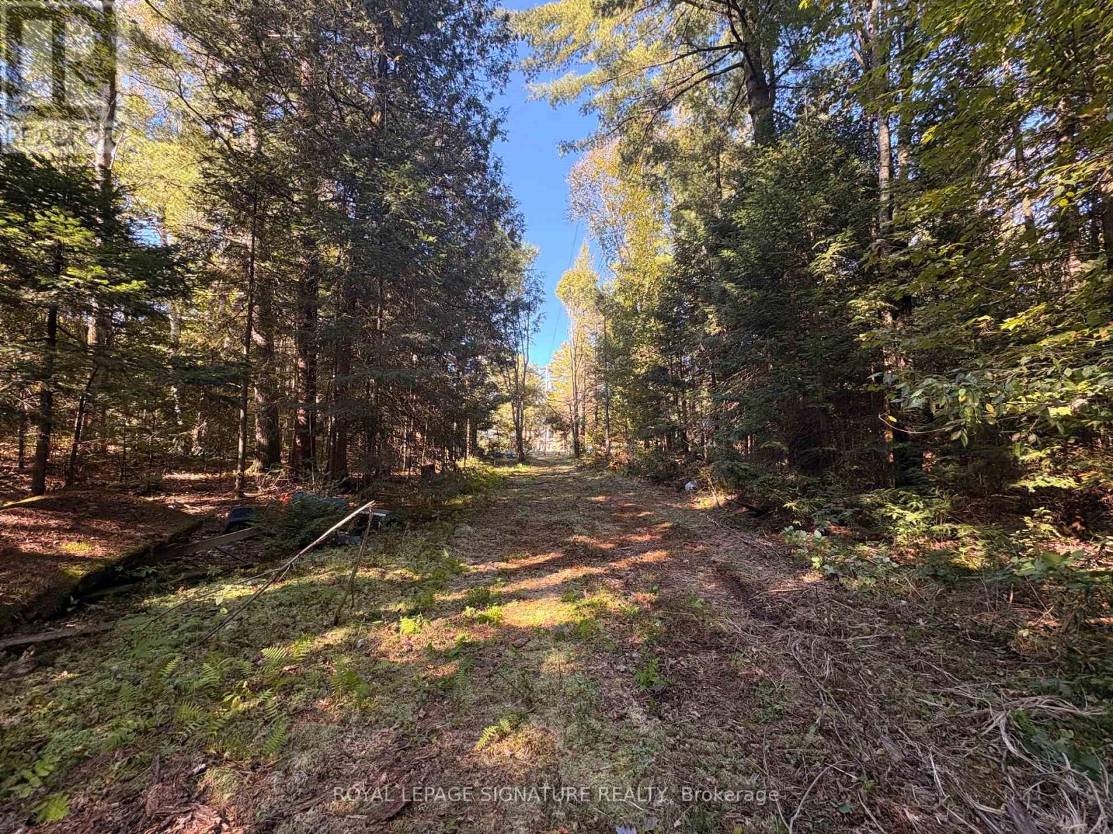 63 Bunny Trail, Mcdougall, Ontario  P2A 2W7 - Photo 13 - X13837004