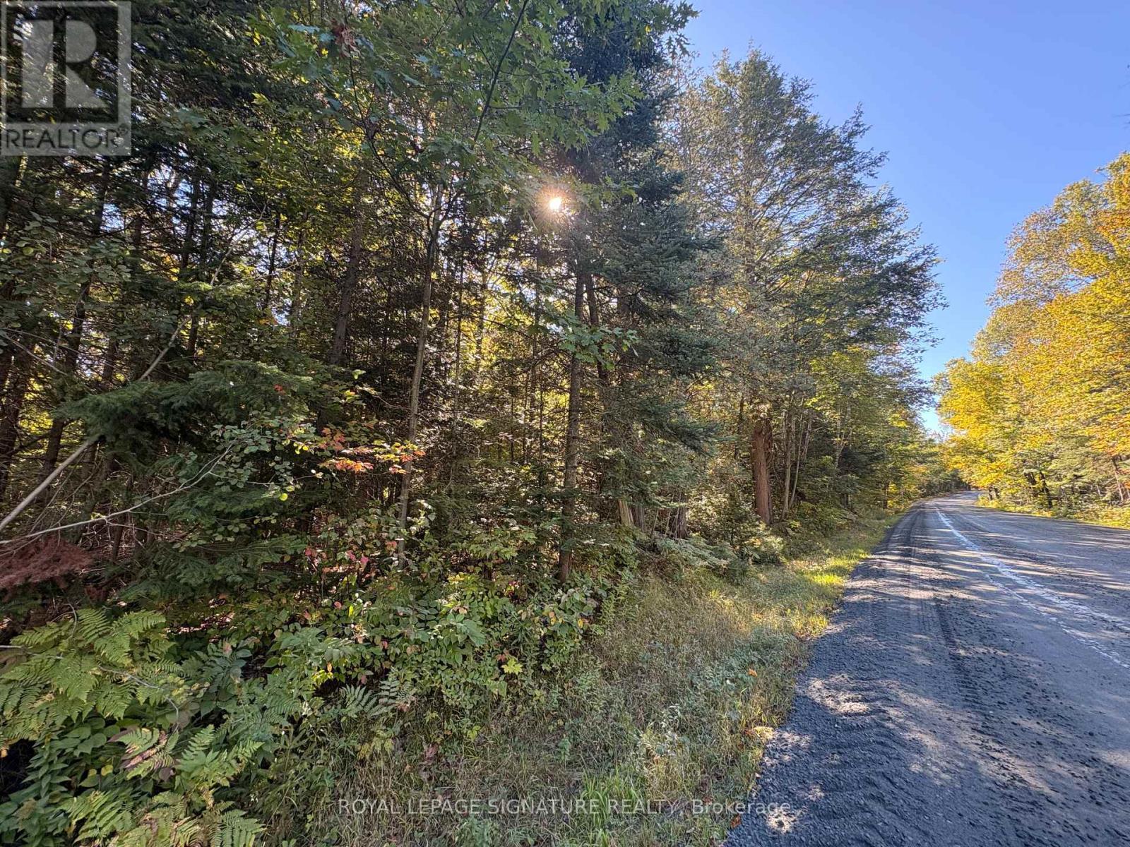 63 Bunny Trail, Mcdougall, Ontario  P2A 2W7 - Photo 4 - X13837004