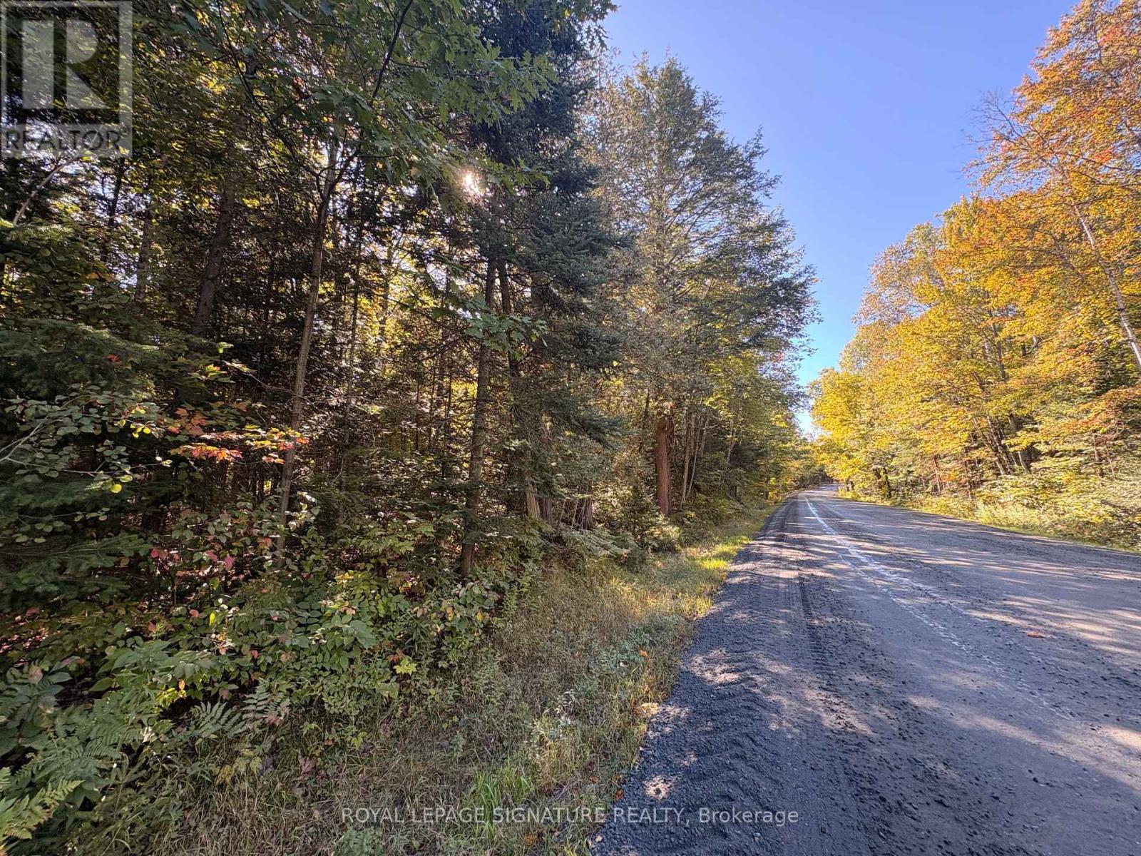 63 Bunny Trail, Mcdougall, Ontario  P2A 2W7 - Photo 5 - X13837004