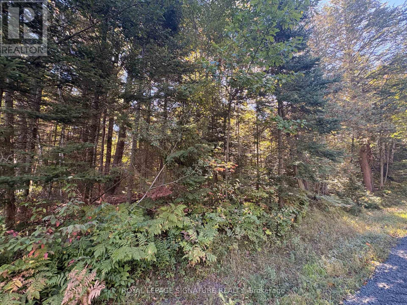63 Bunny Trail, Mcdougall, Ontario  P2A 2W7 - Photo 6 - X13837004