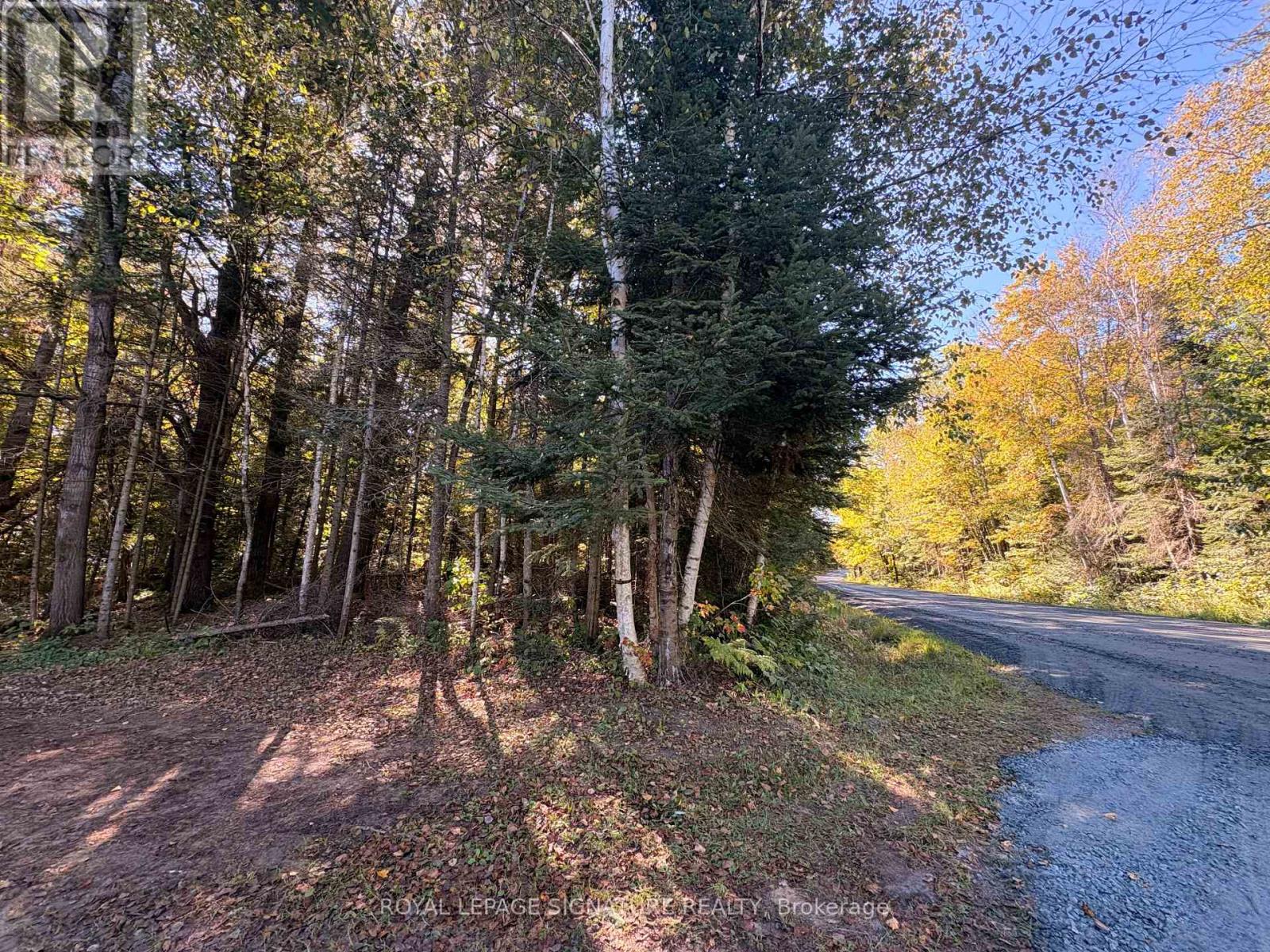 63 Bunny Trail, Mcdougall, Ontario  P2A 2W7 - Photo 8 - X13837004