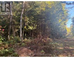 63 BUNNY TRAIL, McDougall, Ontario
