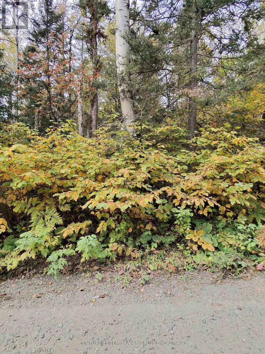 Part 12 Girl Guide Road, Coleman, Ontario  P0J 1C0 - Photo 2 - T12699058
