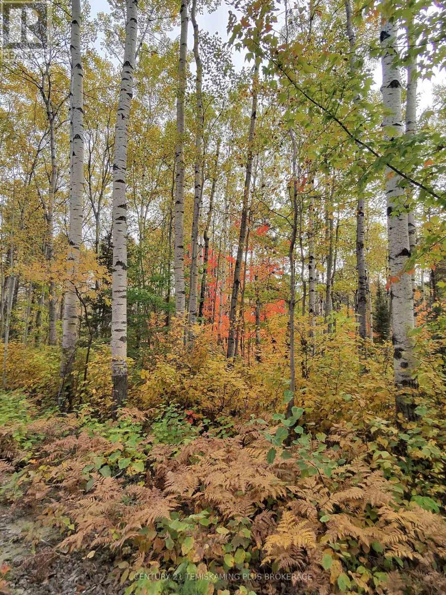 Part 12 Girl Guide Road, Coleman, Ontario  P0J 1C0 - Photo 3 - T12699058